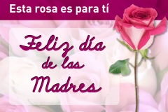 dia-de-la-madre-15