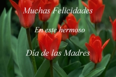 dia-de-la-madre-20