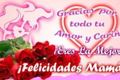 dia-de-las-madres-08