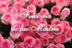 dia-de-las-madres-17