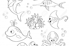dibujos-para-colorear-de-animales-tiernos-24