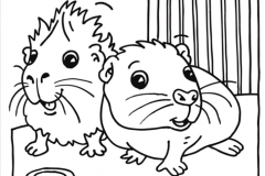 dibujos-para-colorear-de-animales-tiernos-37