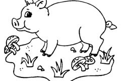 dibujos-para-colorear-de-animales-tiernos-49