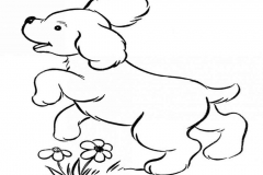 dibujos-para-colorear-de-animales-tiernos-53