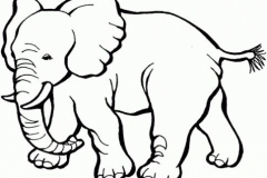 dibujos-para-colorear-de-animales-tiernos-72