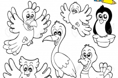 libro para colorear con aves lindos ilustraci??n ilustraciones