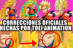 dragon-ball-super-correcciones