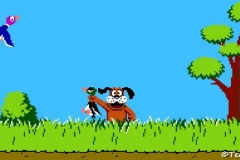 duck-hunt-nes-13