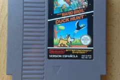 duck-hunt-11