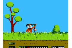 duck-hunt-20