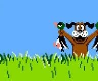 duck-hunt-23