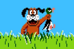 duck-hunt-28