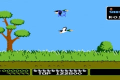 duck-hunt-36