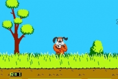 duck-hunt-41