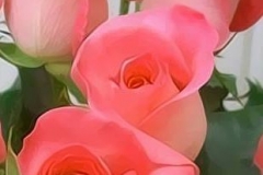 88 Mejores Imgenes De Rosas En Pinterest Flores Bonitas Flores Amazing Flores Y Rosas